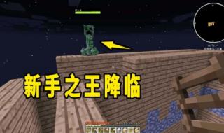 我的世界刷怪塔