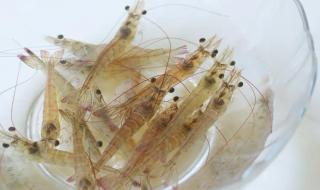 为什么说翔是屎 为什么说翔是屎