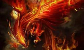 十二星座专属神龙