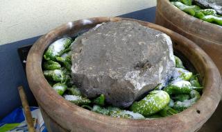 秋天的石头密码 秋天的石头密码