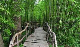 临沂竹泉村旅游度假区 临沂竹泉村旅游度假区