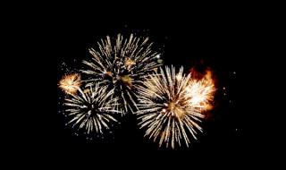 写元旦的作文 写元旦的作文